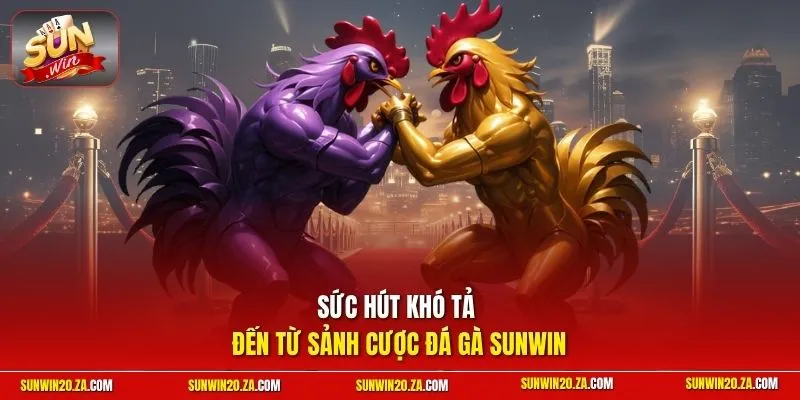 Sức hút khó tả đến từ sảnh cược đá gà SUNWIN